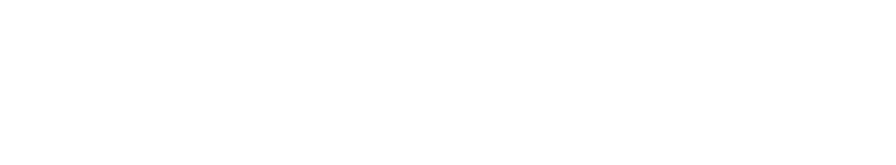 Motovizion